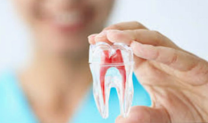 Endodoncia