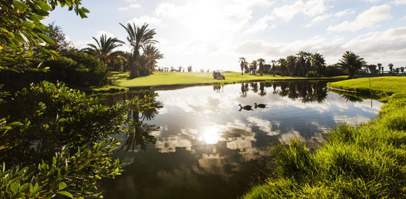 Viajar a Tenerife